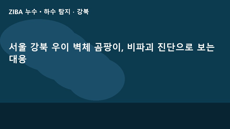 서울 강북 우이 벽체 곰팡이, 비파괴 진단으로 보는 대응
