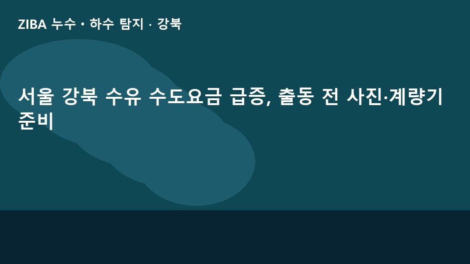 서울 강북 수유 수도요금 급증, 출동 전 사진·계량기 준비