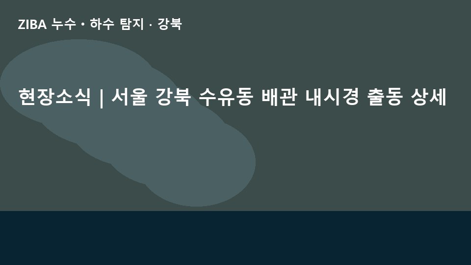 현장소식 | 서울 강북 수유동 배관 내시경 출동 상세