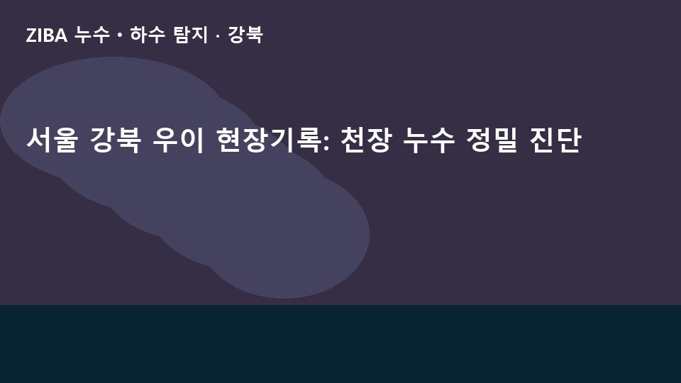 서울 강북 우이 현장기록: 천장 누수 정밀 진단
