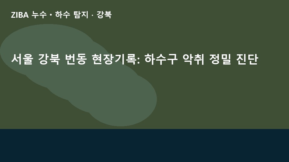 서울 강북 번동 현장기록: 하수구 악취 정밀 진단