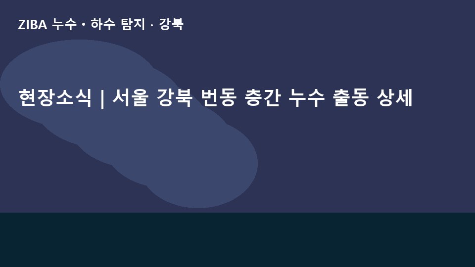 현장소식 | 서울 강북 번동 층간 누수 출동 상세